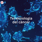 Imatge de portada local