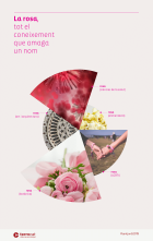 Imatge de portada local