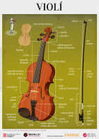 Imatge de portada local