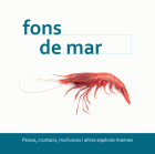 Imatge de portada local