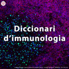 Imatge de portada local