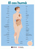 Imatge de portada local