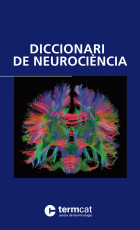 Imatge de portada local