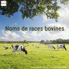 Imatge de portada local