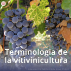 Imatge de portada local