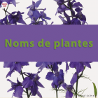 Imatge de portada local