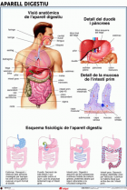 Imatge de portada local