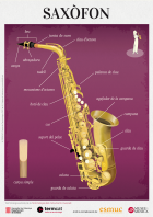 Imatge de portada local