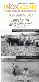 Imatge de portada local