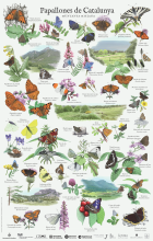 Imatge de portada local