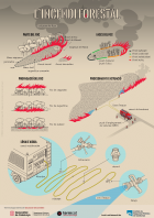 Imatge de portada local