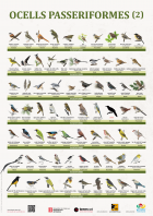 Imatge de portada local